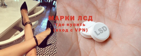 сатива Дмитровск