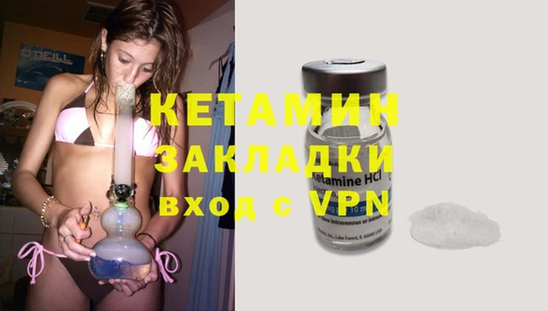 сатива Дмитровск