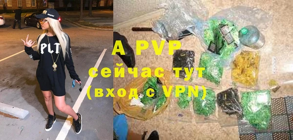 сатива Дмитровск