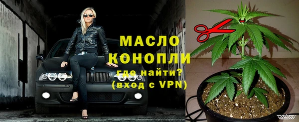 сатива Дмитровск