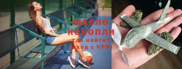 сатива Дмитровск