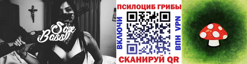 где продают   МЕГА зеркало  Псилоцибиновые грибы Cubensis  Томск 